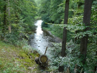 Waldbach